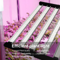 high power plant growing light waterproof grow lights for indoor plants 300 watt 600 watt uv ir